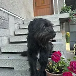 U Anieli - Wsrod Gor I Ziol 팜스테이