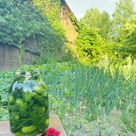 Farm stay U Anieli - Wsrod Gor I Ziol