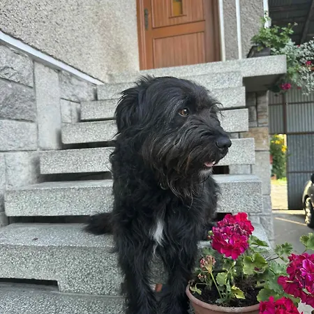 U Anieli - Wsrod Gor I Ziol Bauernhof