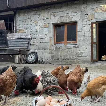 Farm stay U Anieli - Wsrod Gor I Ziol